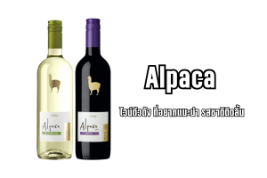 Alpaca ไวน์ตัวดัง ที่อยากแนะนำ รสชาติติดลิ้น